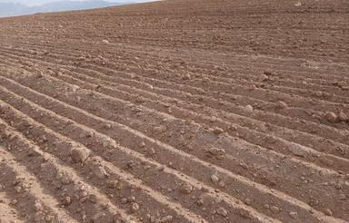 اجاره زمین کشاورزی