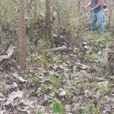 کارگر اقا جهت کار در گلخانه