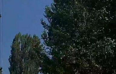 3000مترباغ2نبش بادرختان بلندبالابرجاده برغان کردان