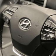 ازرا گرنجور/ 2019 صفر/ خشک