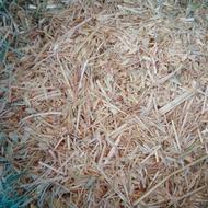 کاه گندم کاهکوبی