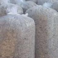 تفاله چغندر