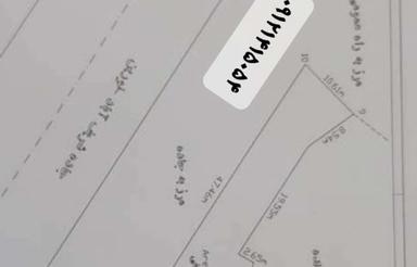 زمین کشاورزی تجاری