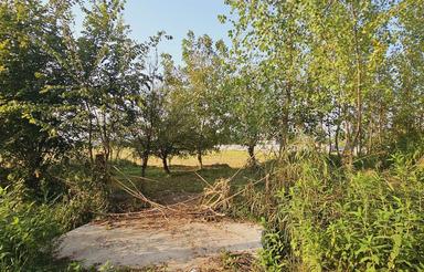 دو پلاک زمین مسکونی 50متری خیابان اصلی گیلان لشت نشاء