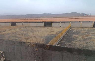 حدود 6 تا سوله 1800 متری و 500 متر اداری و انباری و غیره