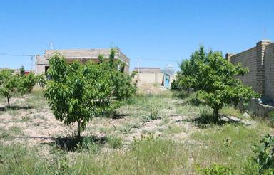 1902 متر واقع در شهرک گردشگری نیاوران قزوین