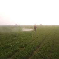 سمپاشی زمین مزرع