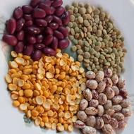 لوبیا چیتی و قرمز و عدس و لپه