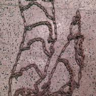 زنجیر چرخ سمند