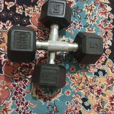 یک جفت دنبل نوسالم