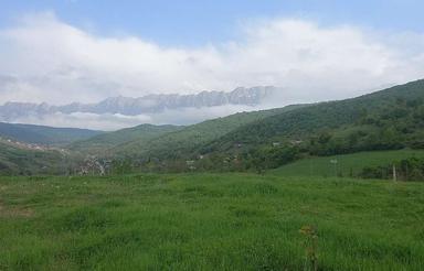 فروش فوری زمین کشاورزی ساری دودانگه