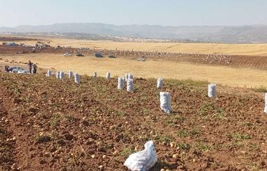 زمین آبی برای اجاره