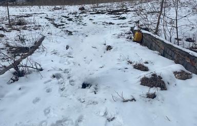 5500متر زمین واقع در چهاردانگه