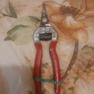 قیچی میوه چینی