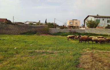 زمین. با. کاربری. مسکونی