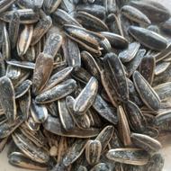 فروش تخمه آفتاب گردون