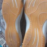 کفش سالنی شماره 38