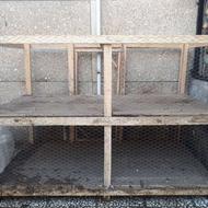 فروش قفس مرغ