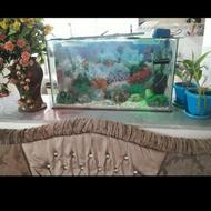 آکواریوم شش میل طول 90عرض 30و ارتفاع 50 سالم با وسایلش