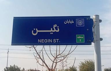 زمین برنگین طلائیه