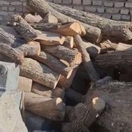 فروش چوب خشک