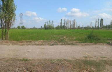 1200متر زمین کشاورزی اتوبان ساری بہ قائمشهر پشت ھایپر قدمت