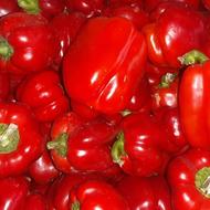 تهیه صیفی جات مستقیم از میدان بار