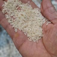 برنج کشت دوم