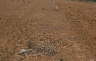 قطعات مسکونی فروشی شریف اباد