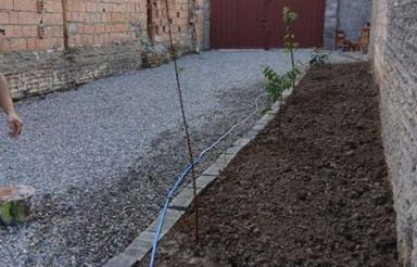 زمین کلنگی طهماسبی 18