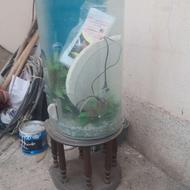 آکواریم شیشه خم