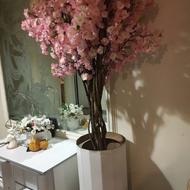 درختچه شکوفه در ارتفاع 160-170