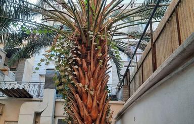 حیاط دربست یک طبقه64متربنا