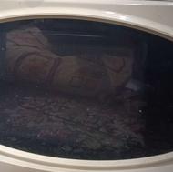 مایکروویو سونی