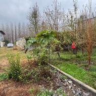 فروش زمین مسکونی 234 متر در واکی کلا سند ملک