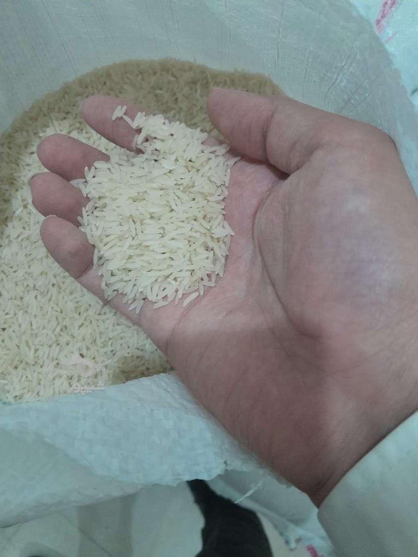 مواد غذایی عمده