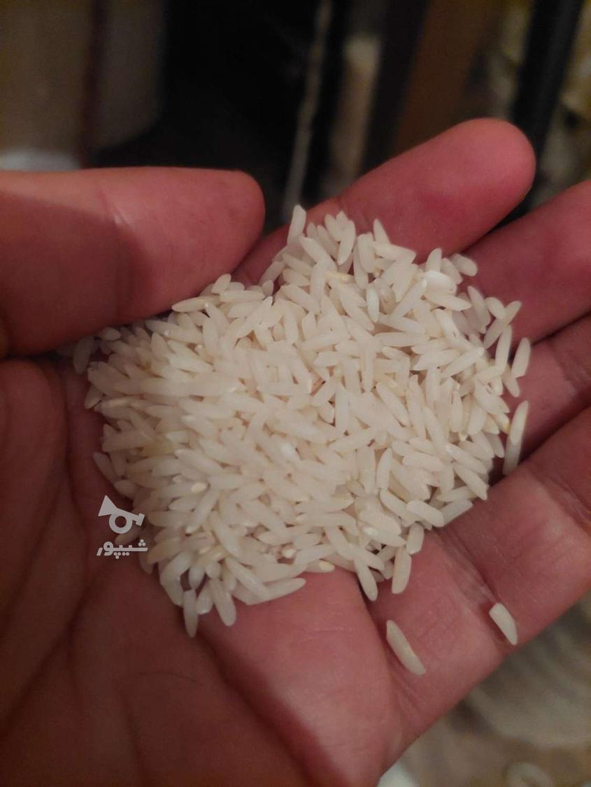 مواد غذایی عمده