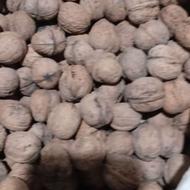 1000 تا گردوی ییلاقی اسل وسالم همش مغز دار