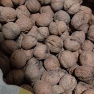 1000 تا گردوی اسل همش مغز دار