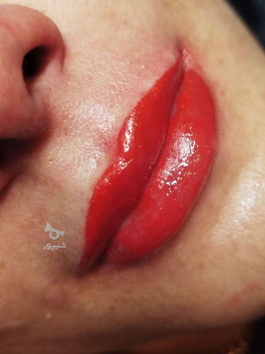 مدل میکروبلید شید لب