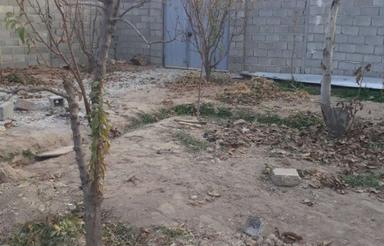 باغچه 310 متری