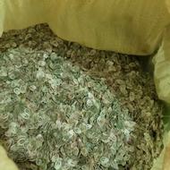 محصولات ارگانیک طالقان