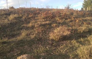 فروش زمین 300مترمانده به اول روستا