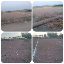 زمین کشاورزی بر خیابان 275متر