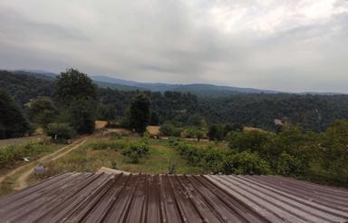 فروش فوری باغ