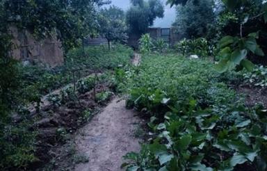 زمین سه نبش از سه