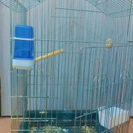 قفس کاسکویی و چال بزرگ