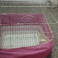 قفس 1032 سالم