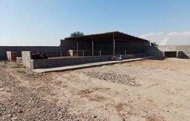 ملک دارای 200متر سوله