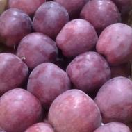 به تعدادی آقا و خانم برای سورت سیب نیازمندیم